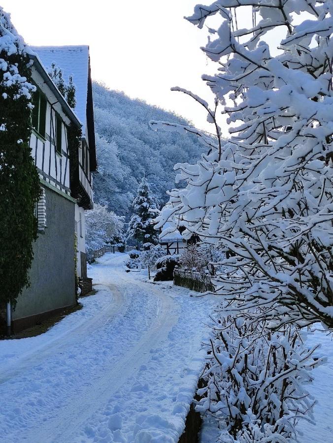 Ferienwohnung 'Unter Der Burg' Brodenbach Eksteriør billede