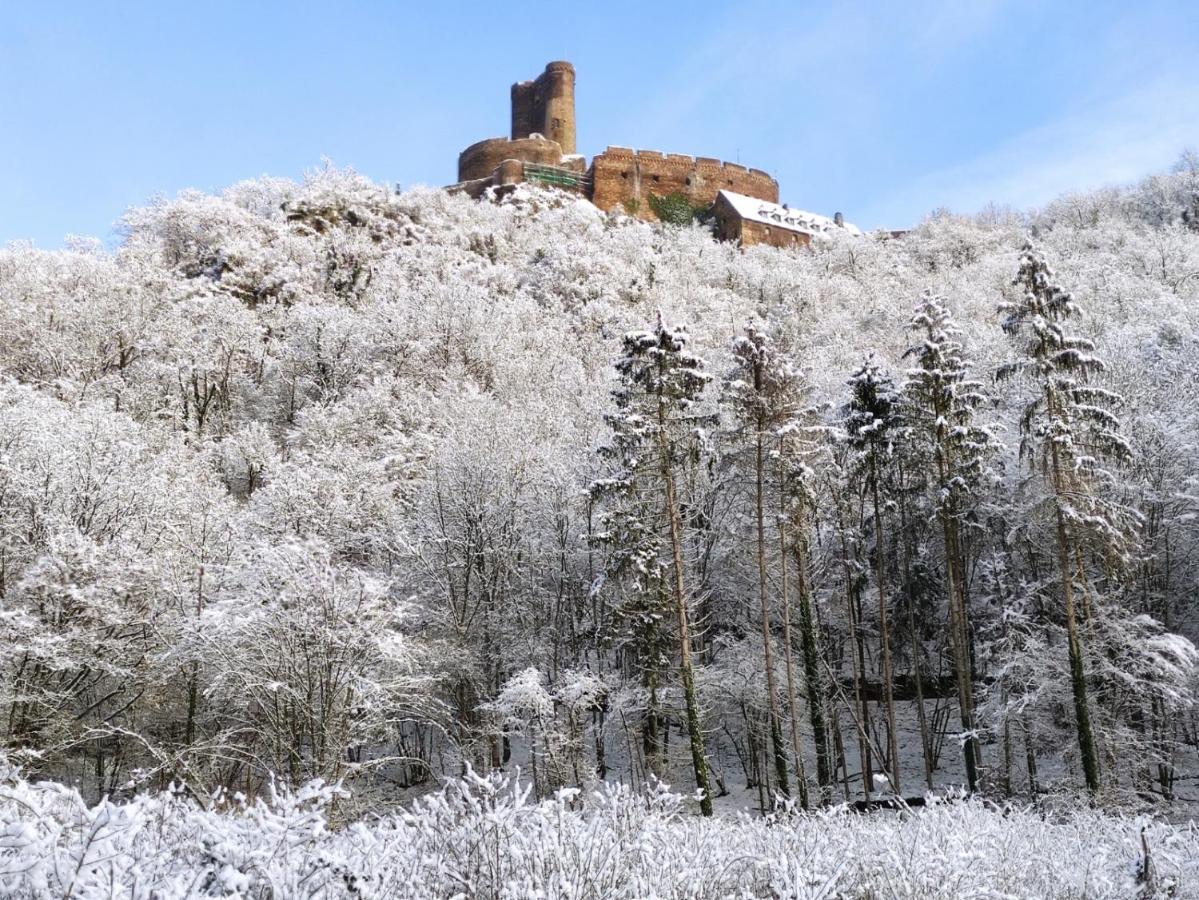 Ferienwohnung 'Unter Der Burg' Brodenbach Eksteriør billede